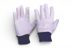 Gloves Cotton Drill  Knitted Cuff