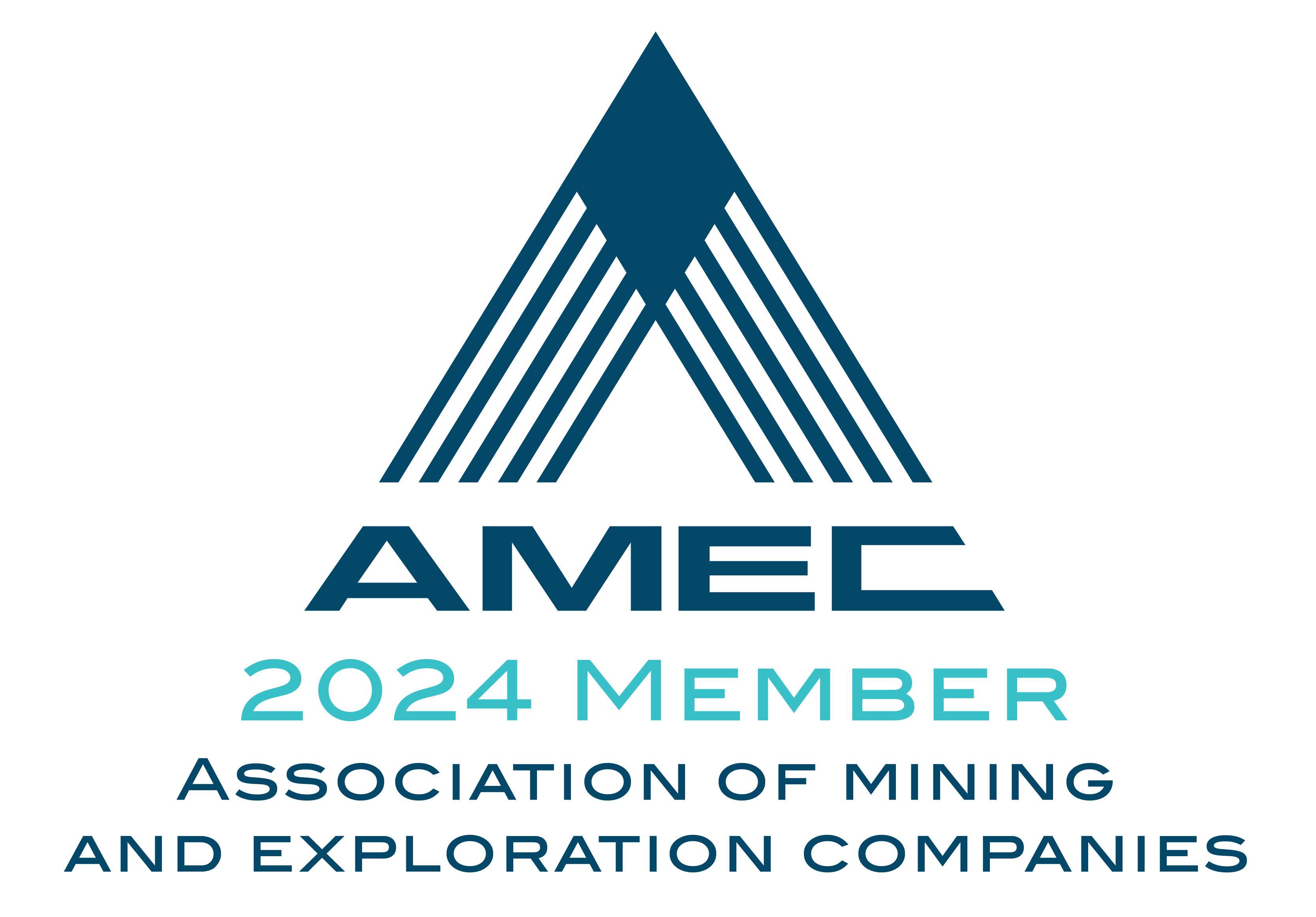 AMEC Member 2024