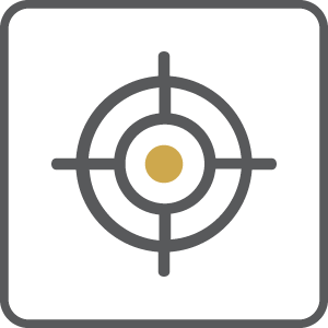 tpp icons telescopic design border - SKU TPP